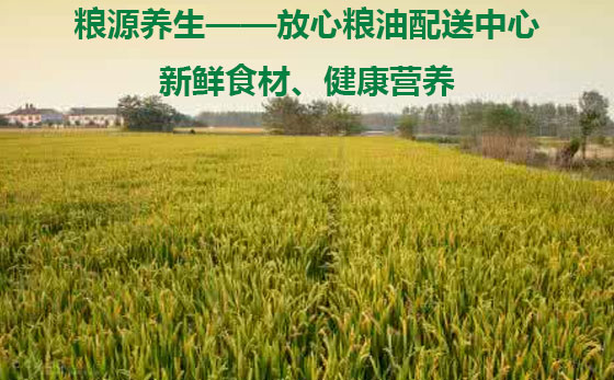 深到你身邊 深圳首家糧油送貨到家，品質(zhì)生活從餐桌開始
